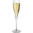 CHAMPAGNE